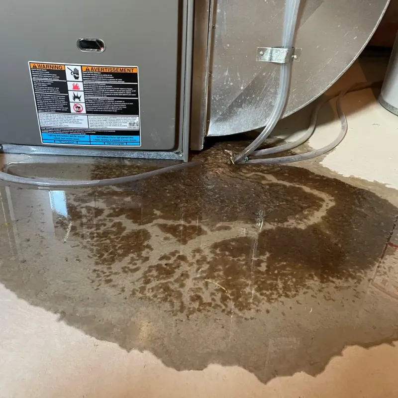 Appliance Leak Cleanup in Fultondale, AL